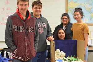 Freshmen Create Ecosystem Dioramas