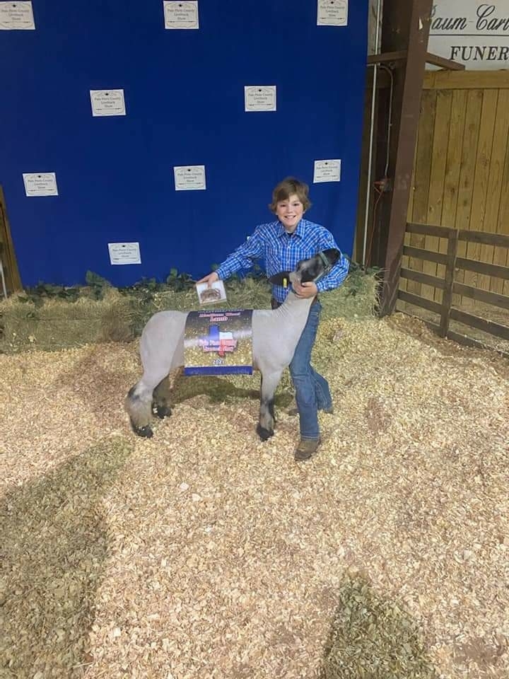 Lane's Lamb