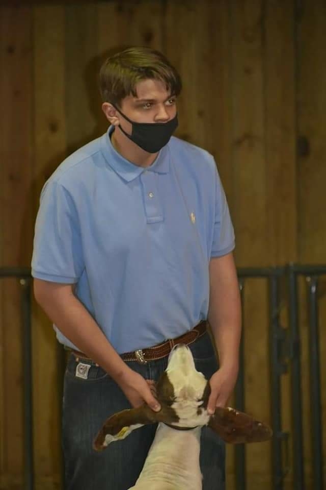 Kyle's Goat