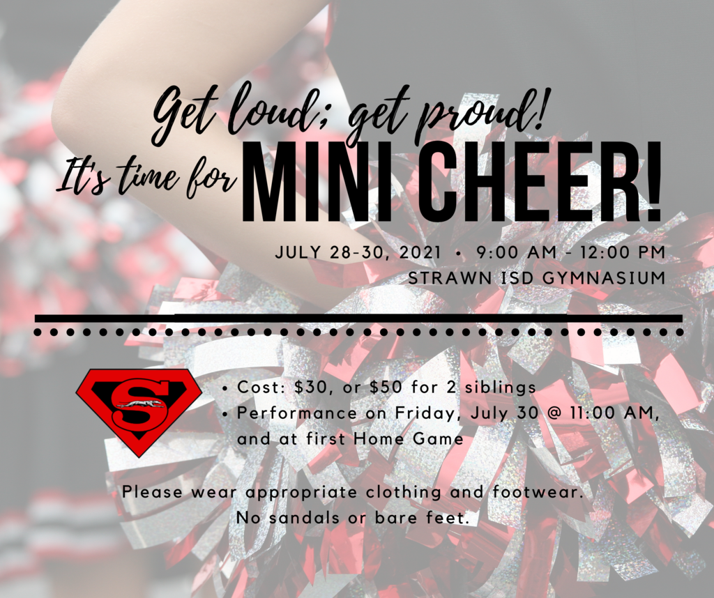 Mini Cheer Camp is July 28-30, 9 AM - 12 Noon!