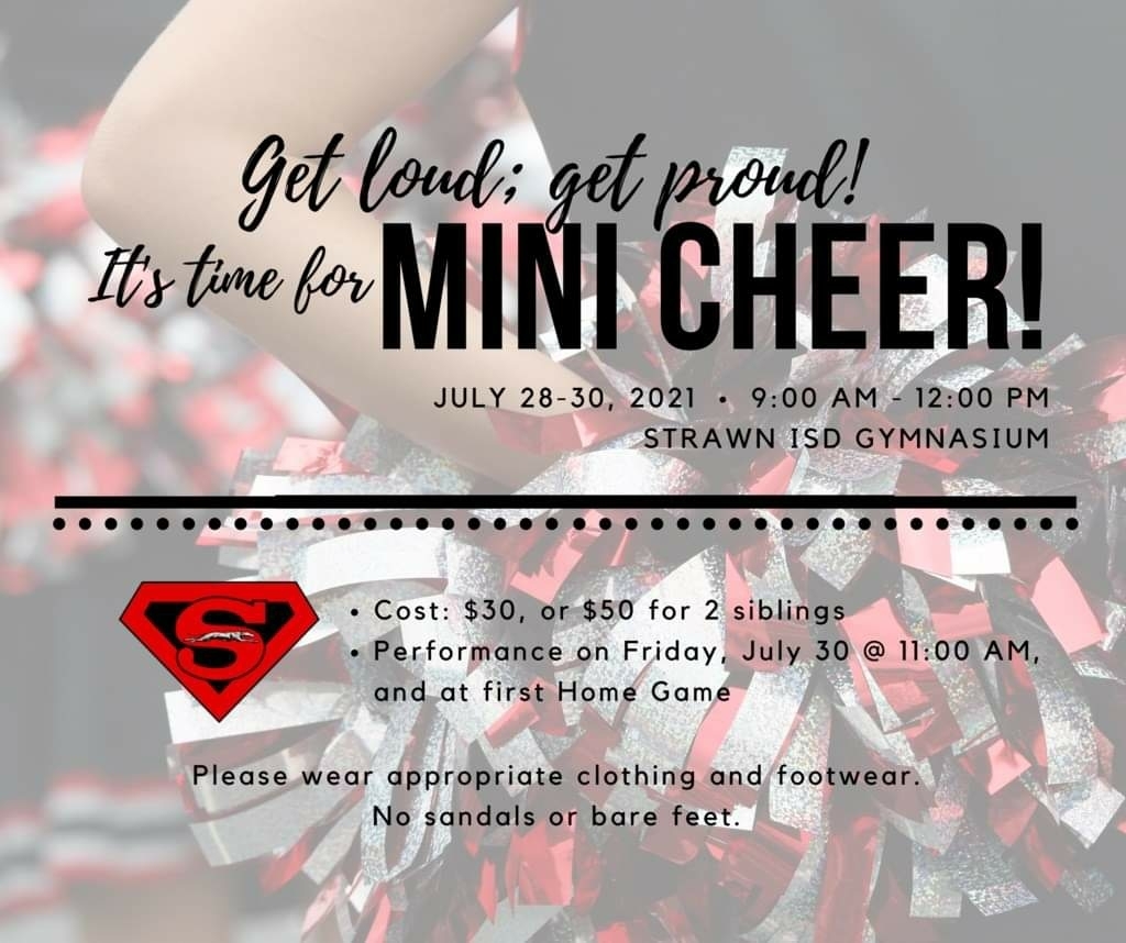 mini cheerleader camp