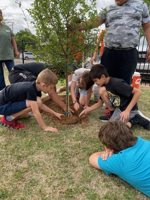 Students help plant the new tree. 