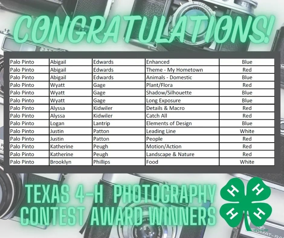 4-H State Photography Contest