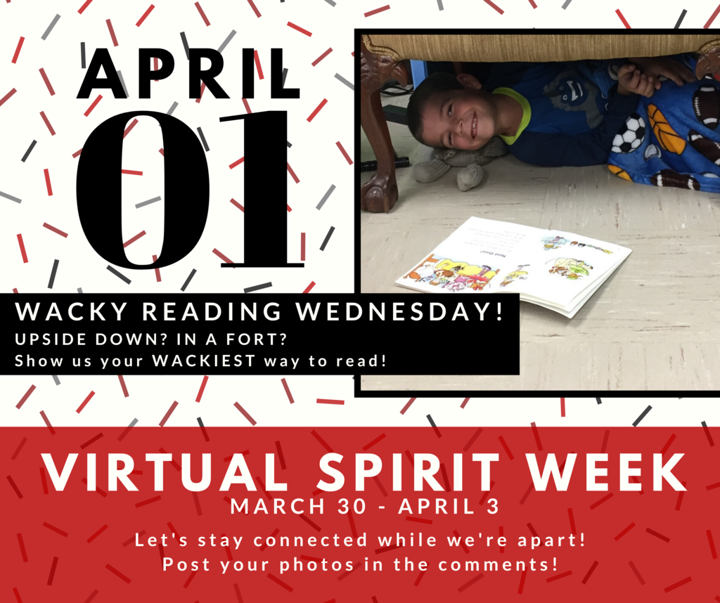 Virtual Spirit Week: Wacky Reading Wednesday
